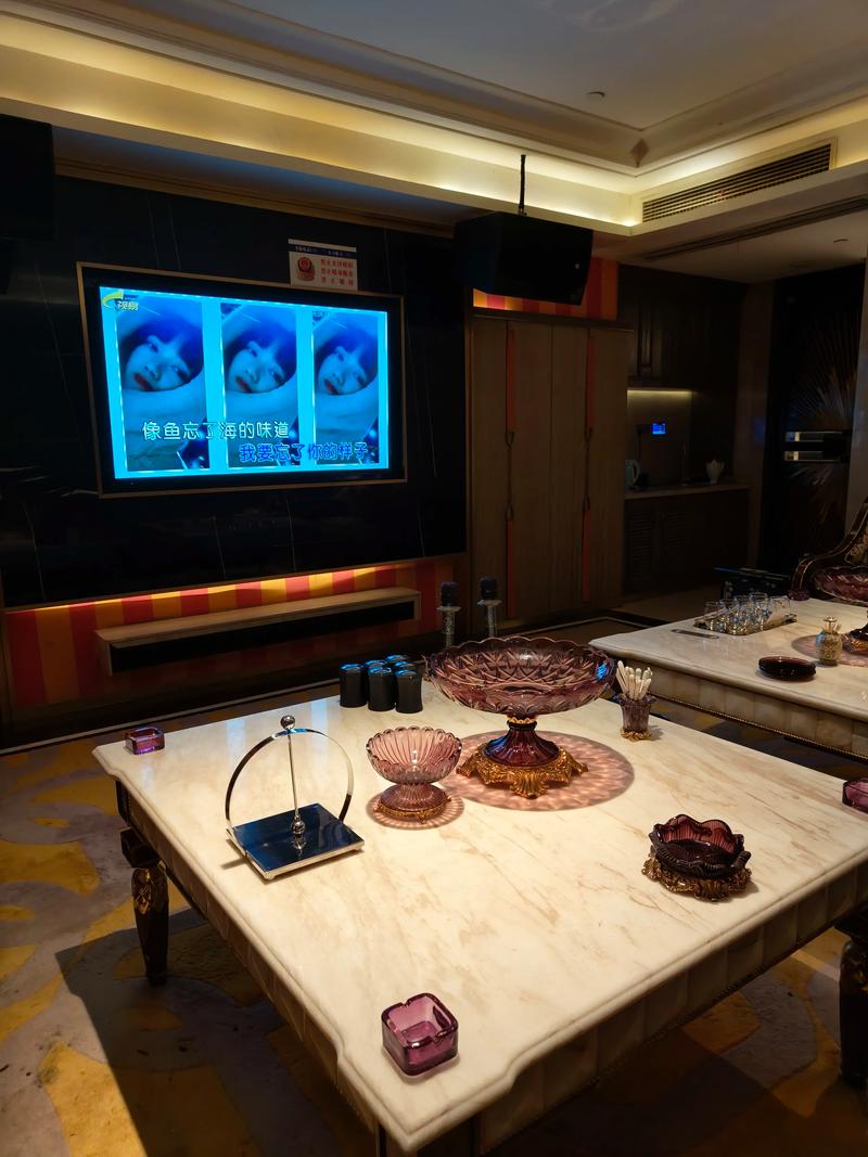 大庆商务KTV：尊贵享受-肇州县ktv预订